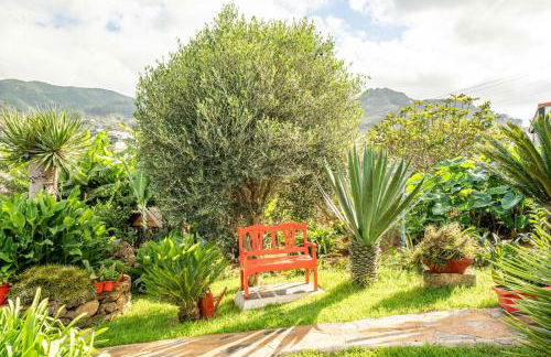 CASA LAZARO, TEGUESTE - Photo 64