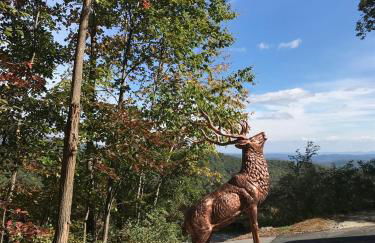 Elkhorn Rustic Blowing Rock Cabin Amazing Views - Foto 37