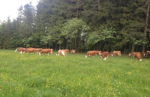 Ferienhaus, Sankt Georgen - Foto 26