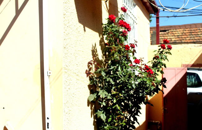 Old Avlabari Rooms - Foto 30