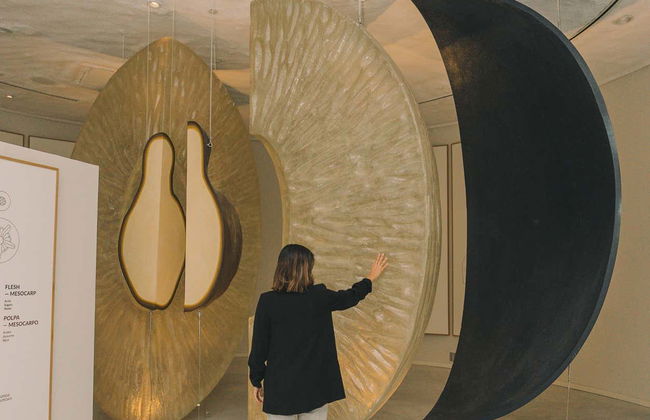 Biglietti per il museo di WOW Porto - Foto 15