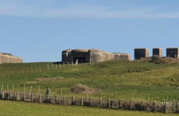 RACINES MARINES - Foto 24