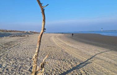 La Dolce Vita - Apartment with shared pool and large terrace - Foto 77