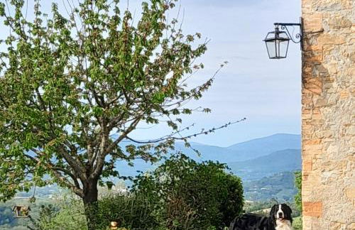 Agriturismo Monterosello - Photo 4