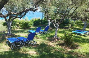 VILLA AGIA AIKATERINI - Foto 51