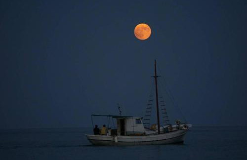 Villa Bournous - Photo 22