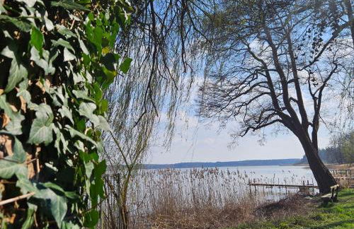 Apartment Karpfen by Interhome - Foto 23