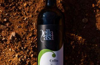 Tenuta Della Casa Wine & Rooms - La Pausa del Collio - Photo 37