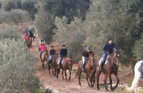 Casa Vacanze TITINA HOME - Foto 39