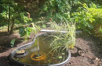 Oase am Deich - Photo 43