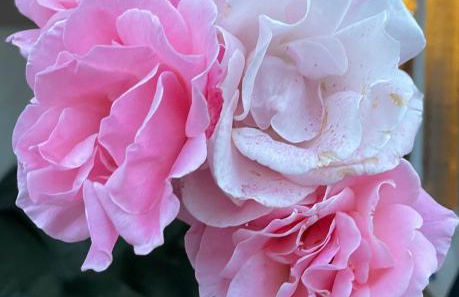 Figueres Center - Foto 49