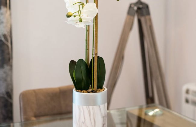 Otter With Mountain View and Enclosed Decking - Foto 12