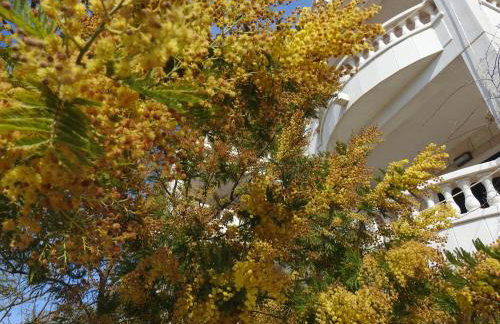 Apartments Villa Barbara - Foto 72