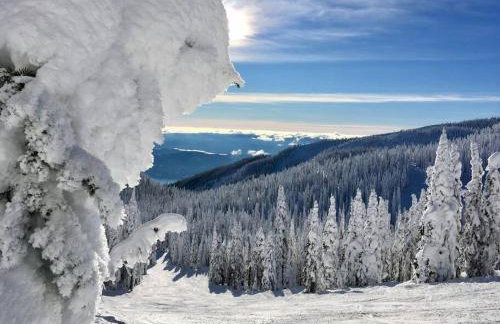 Charming and Cozy Private Home Walking Distance to Downtown - Foto 10