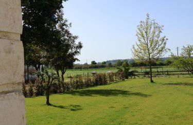 Pátio das Ribeiras - Foto 64