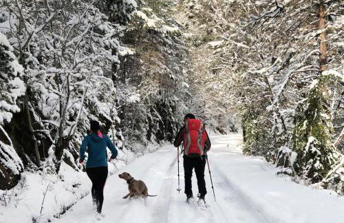 Edif. La Corona - Foto 44