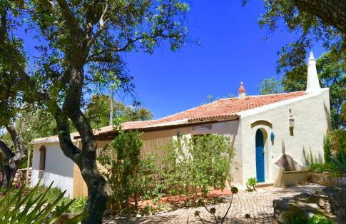 Monte Borboleta - Villas, Apartments - Foto 27