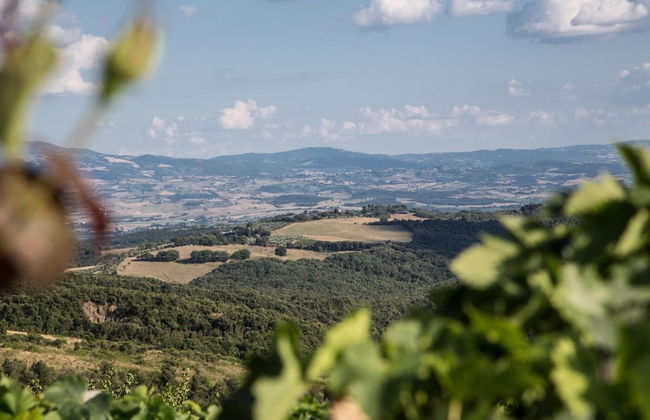 Casa Guaitoli - Foto 39