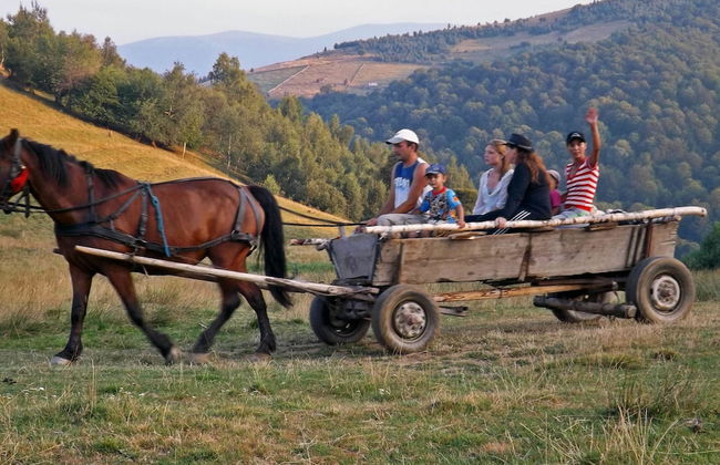 Casa Crina - Foto 23