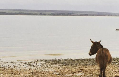 May Cottage - Heart of Vibrant Village & 10 mins Walk to Beach - Photo 3