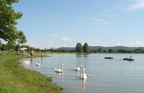 Ferienwohnung Weitblick - Urlaub in der Natur und trotzdem nah an Ausflugszielen - Foto 28