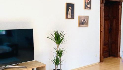 Burg Aue- Ferienwohnungen Erzglück - Familien - im Grünen - zentral - Foto 5