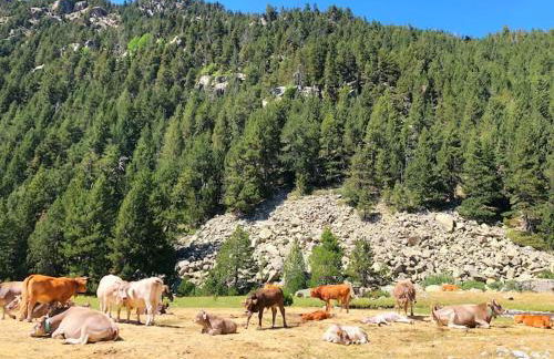 Ático turistico en Durro - La Vall de Boí - Foto 37