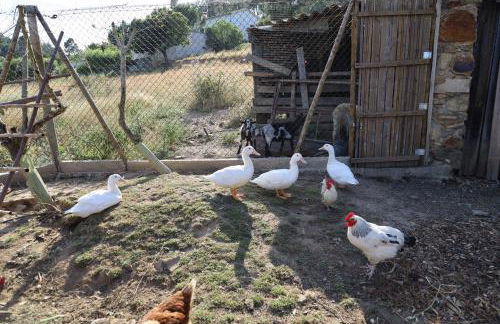 Apartamentos Rurais - Casas do Lagar - Foto 5