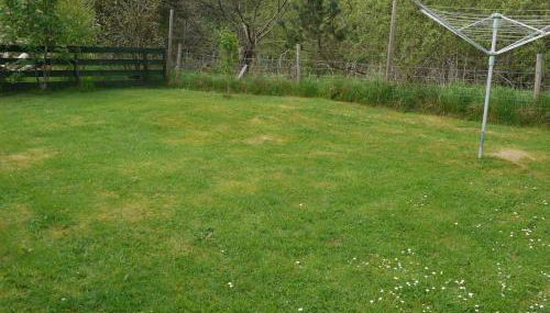 Roe Deer Cottage - Foto 3, Garden view