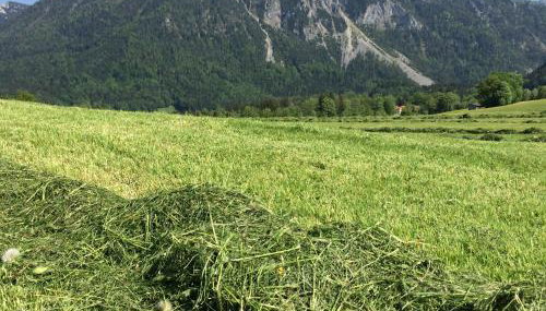 Ferienwohnung Schifterhof - Foto 5