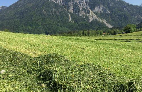 Ferienwohnung Schifterhof - Foto 5