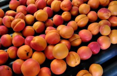 Gîte les trois abeilles - Foto 23