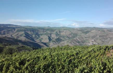 Casa Da Jesus - Foto 44