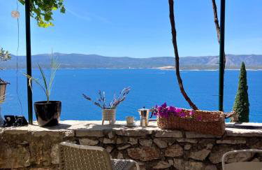 Blue Dream - Foto 32