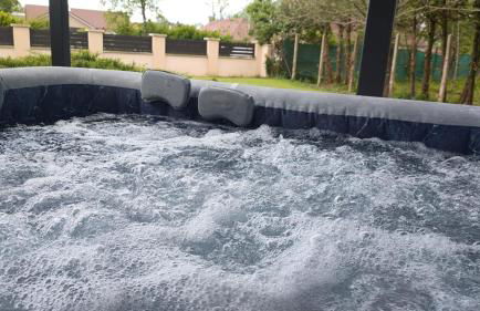 la champagnolaise - Foto 1