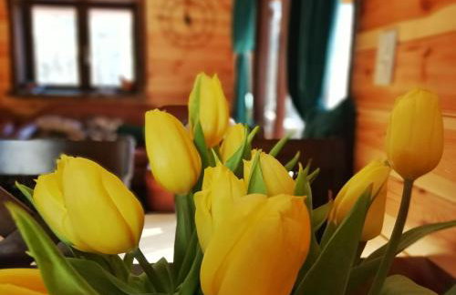 Łosia Chata - Foto 32