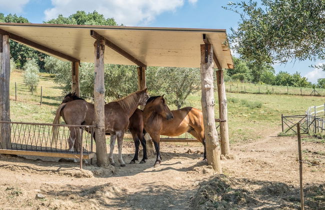 Agriturismo Goccia di Luna - Foto 61