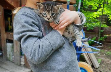 Osada Jelonki Wielka Puszcza - Foto 77