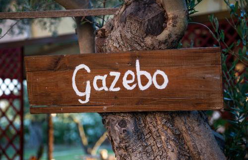 Agroktima Elia - Foto 7