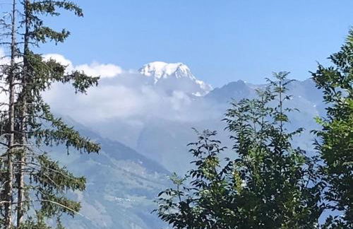 Montchavin Les Côtes vue Mont-Blanc - Foto 12