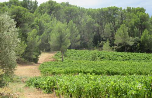 House on winery - Foto 16