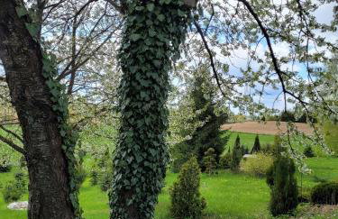 Gęsia Sielanka - Foto 34