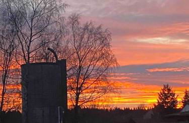Ferien auf dem Eliesenhof - Foto 36