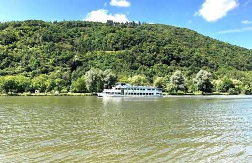 Ferienhaus Bullay - Foto 68