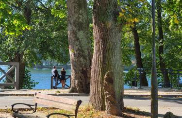 Apartament Fryderyk Łagów - Foto 45