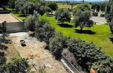 Villa Belvedere - Foto 20