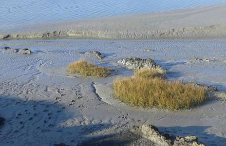 Les Hirondelles de la Baie - Foto 30