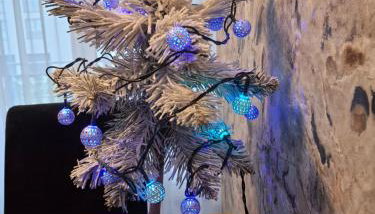 Kameralny Apartament z Balkonem - Foto 3