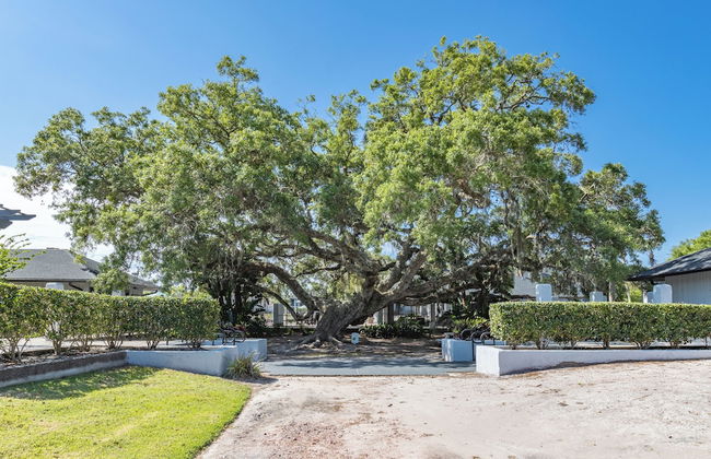 Legacy Vacation Resorts Palm Coast - Foto 46