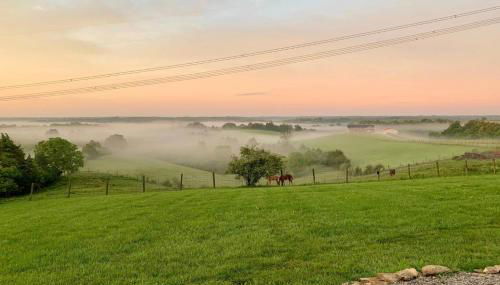 Cordova Farmhouse - 7 Minutes from the Ark! - Foto 2, Garden